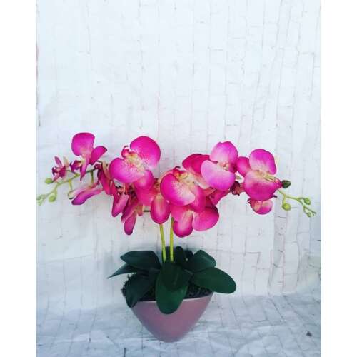 Élénk szín orchidea dekor 32173145