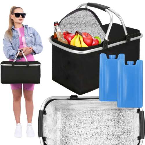 Springos insulated picnic basket with ice packs, perfect for carrying food and drinks to the beach or park