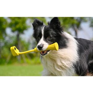 Dog playing with Insta360 GO 3 Fetch Stick - Action Camera Accessory