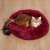 Springos pet bed, burgundy, donut shaped, for cats and dogs, with a cat inside