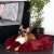 Springos pet bed, burgundy, donut shaped, for cats and dogs, with a dog inside