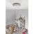 Emos P56501 smoke detector installed on ceiling