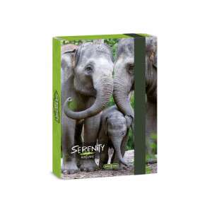 Ars Una Serenity Nature A5-ös füzetbox elefántos mintával - Füzetbox