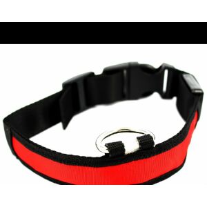 LED Dog Collar, Illuminated Dog Collar Red M 135420035 - Pet Collar