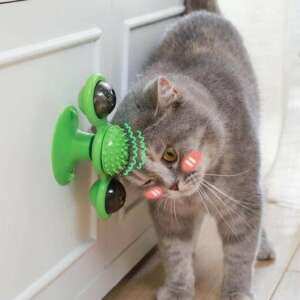 Cat playing with a rotating windmill toy with a cat brush in the middle - Cat Toy