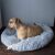 Springos plush Dog bed, size 3XL, 110cm - Grey 75158247