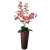 Orchidea padlóvázás dekoráció-vintage rozsda bronz váza-4 szál prémium rózsaszín orchidea. 32214619}