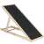Dechland adjustable height dog ramp, beige and black, for dogs to get on furniture or in cars