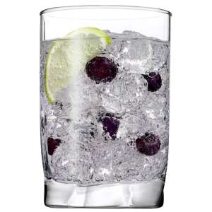 Pasabahce Luna 250 ml pohár, jéggel és áfonyával töltve, tökéletes koktélokhoz, gyümölcsléhez vagy vízhez - Pasabahce