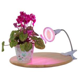 Plant grow light with flexible arm and clip, 200 LED, red and blue light, for indoor plants - Verk Group