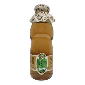Zitronengrassirup 0,5 l 74014900