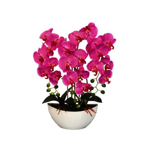 SmileHOME by Pepita Premium Floare artificială vie - Orhidee 60cm (06NOR) - Multi