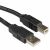Roline USB A to B 2.0 Cable, 3m, Black