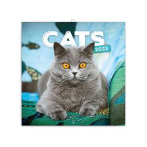 Macska Falinaptár 2024 - 12 Hónap 74251877 - REALSYSTEM