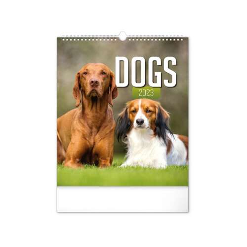 2023-as Kutyák Fali Naptár, imádnivaló kutyafajtákkal