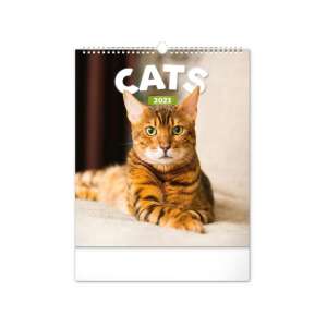 Macskák 2023-as naptár, egy gyönyörű bengáli macskával a borítón - REALSYSTEM