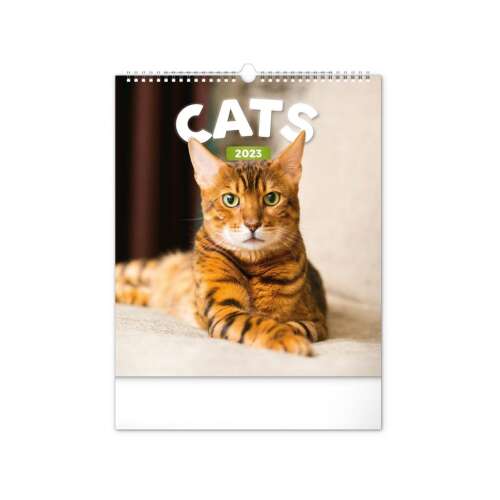 Macskák 2023-as naptár, egy gyönyörű bengáli macskával a borítón