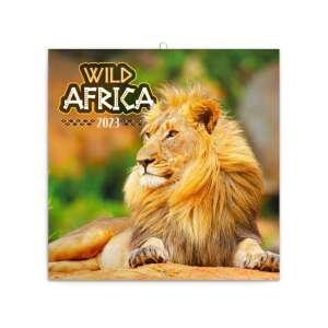 Wild Africa 2023 falinaptár, oroszlánnal - REALSYSTEM