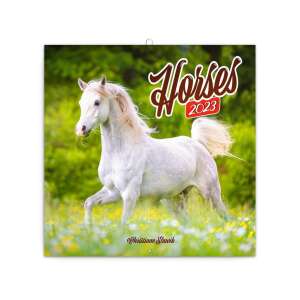 2024-es Ló Falinaptár, egy gyönyörű fehér ló fut a mezőn - REALSYSTEM