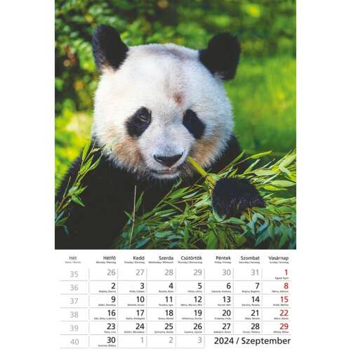 Calendar de perete Animale sălbatice 220x330 mm spirală TopTimer T094-08 2024