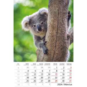 TopTimer 2024 Wildtiere Wandkalender - März - TOPTIMER