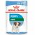ROYAL CANIN SHN Mini Puppy in Sauce - Nassfutter für Welpen - 12X85 g 74268764