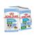 ROYAL CANIN SHN Mini Puppy in sos - hrana umeda catelus - 12X85 g 74268764