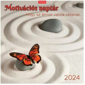 Toptimer motivációs naptár 2024, pillangóval kőn zen kertben - TOPTIMER