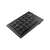 Genius Numpad 100 HUN USB black numeric keypad angled view