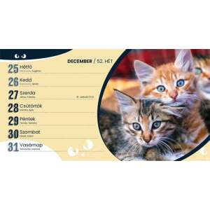 TOPTIMER 2024 "Cicák" Tischkalender, Dezember Seite mit süßen Kätzchen - TOPTIMER