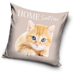 Cat Pillowcase 40*40 cm