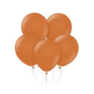 Pastel Caramel Balloons, 10 pack, 12 inch, latex, brown - Party Supply