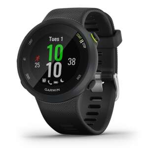 Inteligentné hodinky Garmin Forerunner 45, čierne