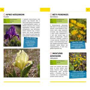 Vadvirágok - Természetbarátok zsebkönyve 32802649 Tudományos és ismeretterjesztő könyvek
