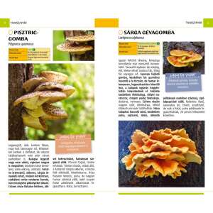 Gombák - Természetbarátok zsebkönyve 32801711 Tudományos és ismeretterjesztő könyvek