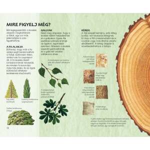 Az erdő fái - Természetbarátok zsebkönyve könyv, illusztrált útmutató a magyarországi fák azonosításához - Természettudomány