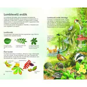 Erdei élővilág - Természetbarátok zsebkönyve 32801381 Tudományos és ismeretterjesztő könyvek