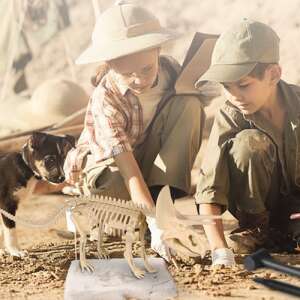 Dinoszauruszos régészeti ásatás készlet, dínó kövület feltáró szett - Triceratopsz 74813046 Tudományos és felfedező játékok