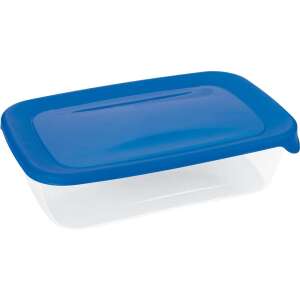 CURVER "FRESH&GO" 1L rectangular plastic food storage container with blue lid - Food storage container