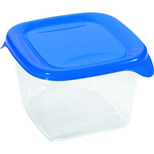 Recipient alimentar CURVER "FRESH&GO", pătrat, 0,45L, transparent cu capac albastru