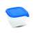 Recipient alimentar CURVER "FRESH&GO", pătrat, 0,45L, transparent cu capac albastru