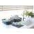 CURVER Essentials dish racks on kitchen counter