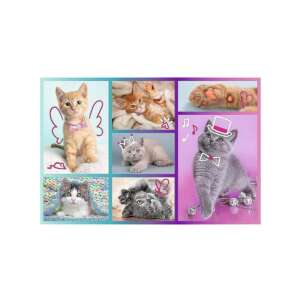 60-teiliges Puzzle mit niedlichen Kätzchen, perfekt für Katzenliebhaber - Trefl Puzzle