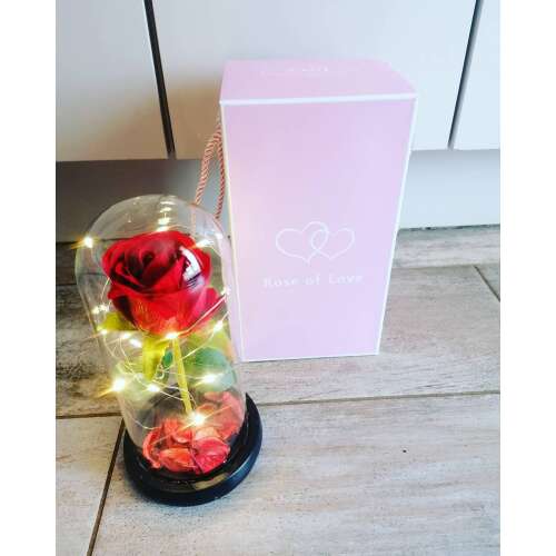 Ledes rózsa üvegbúrában, dísz dobozzal 11x21,5cm-búra  mérete