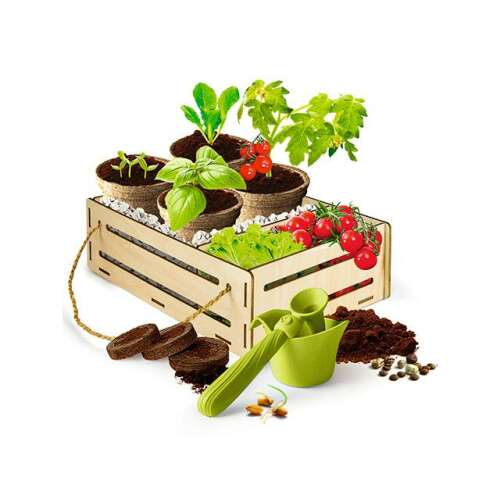 Clementoni Play for Future Set de grădinărit, ladă de lemn cu ierburi și legume plantate, unelte de grădinărit