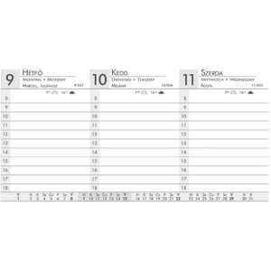 Zsebnaptár ALISCA Rebel varrott fekvő fehér lapos bézs 2024 74838699 - Irodai kiegészítő