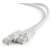 Gembird CAT6A S-FTP Patch Cable 15m grey (PP6A-LSZHCU-15M) 82668258