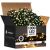 Springos 1000 LED Warm White Christmas Lights, 60m, in Box