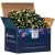 Springos 1000 LED Warm White Christmas Lights, 60m, in Box