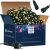 Springos 1000 LED Christmas String Lights in Box